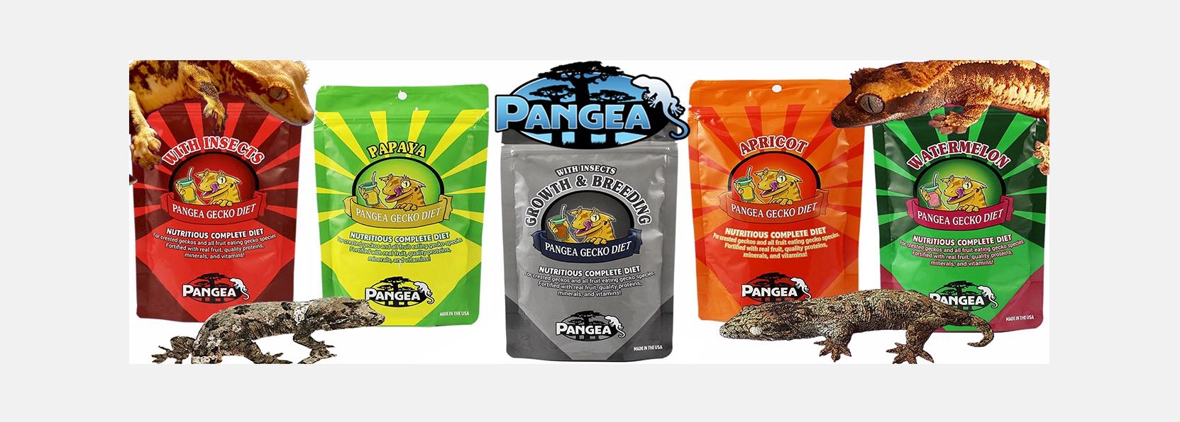 Gecko Pantry Free UK Delivery Gecko Diet / Food From Top Brands